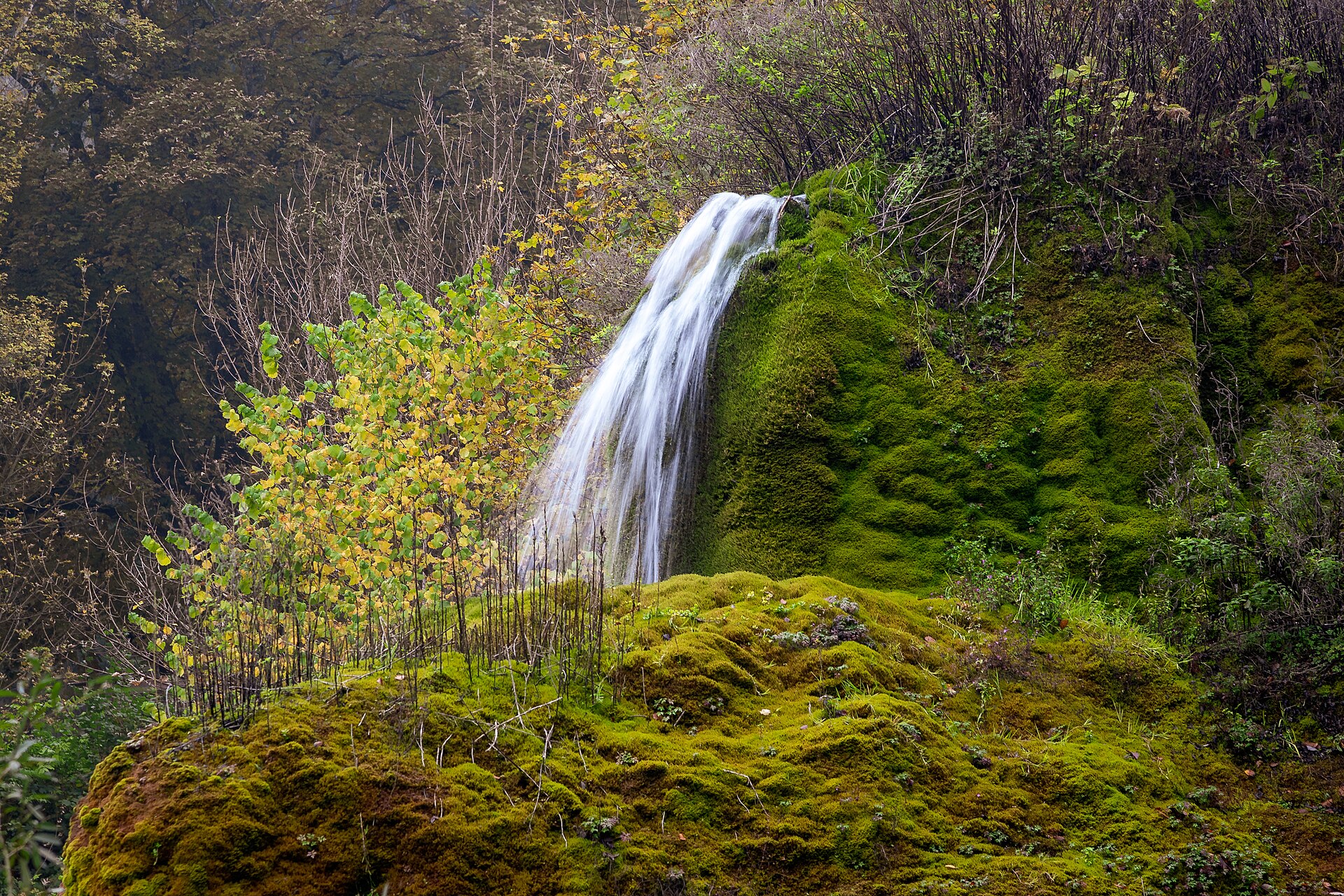 Wasserfall im idyllischen Ahbachtal