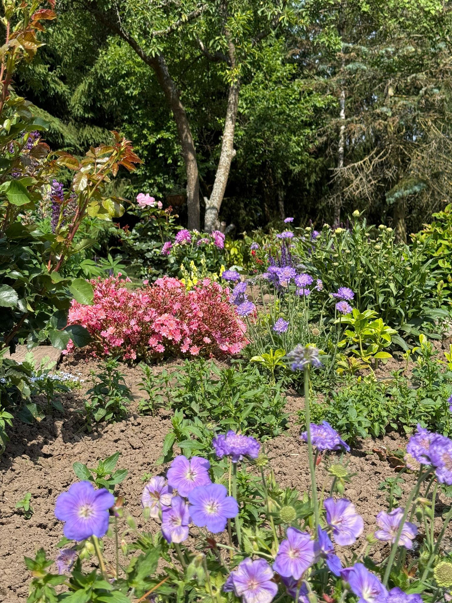 Dekorative Gartenelemente