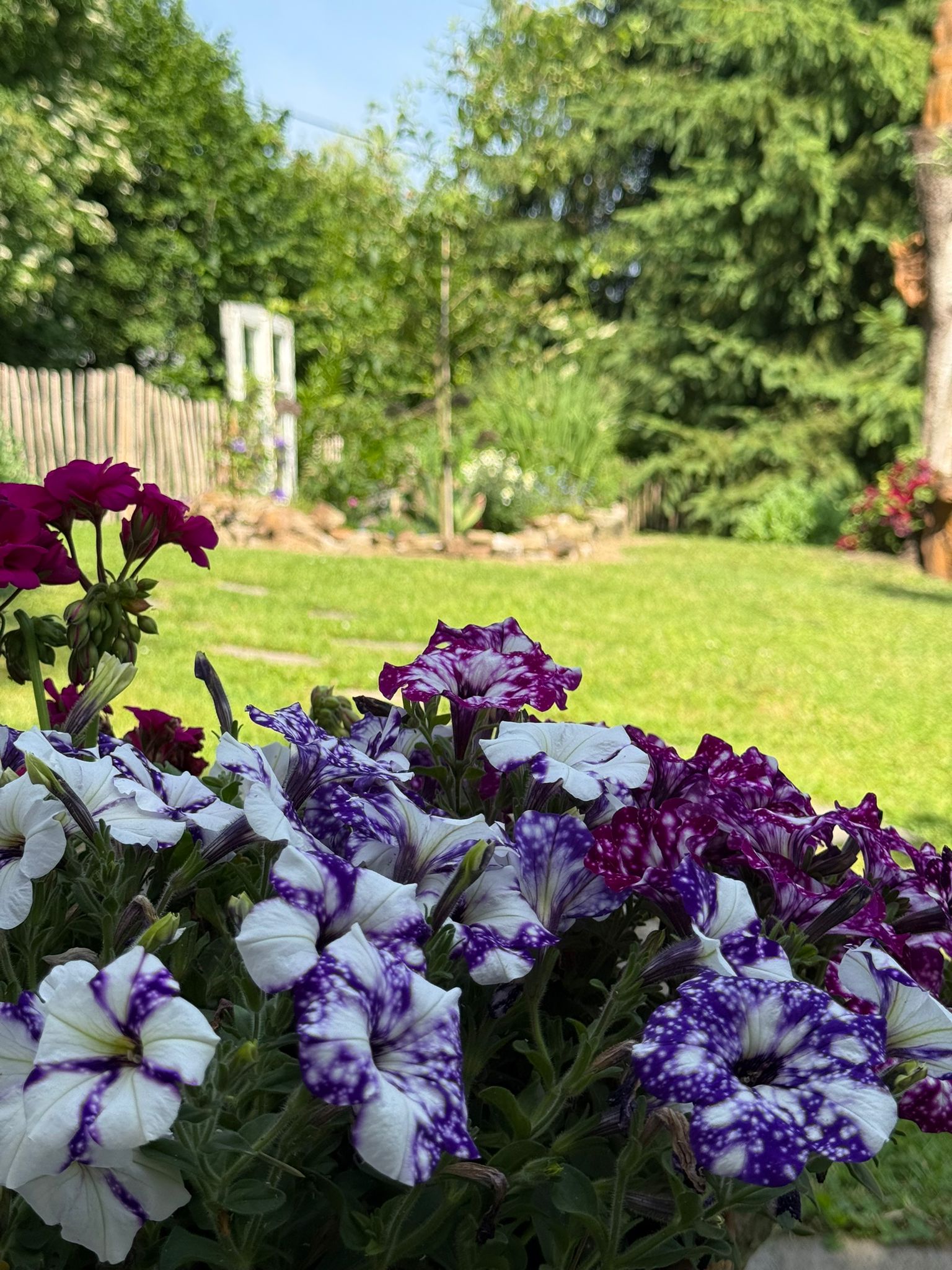 Gepflegte Wege